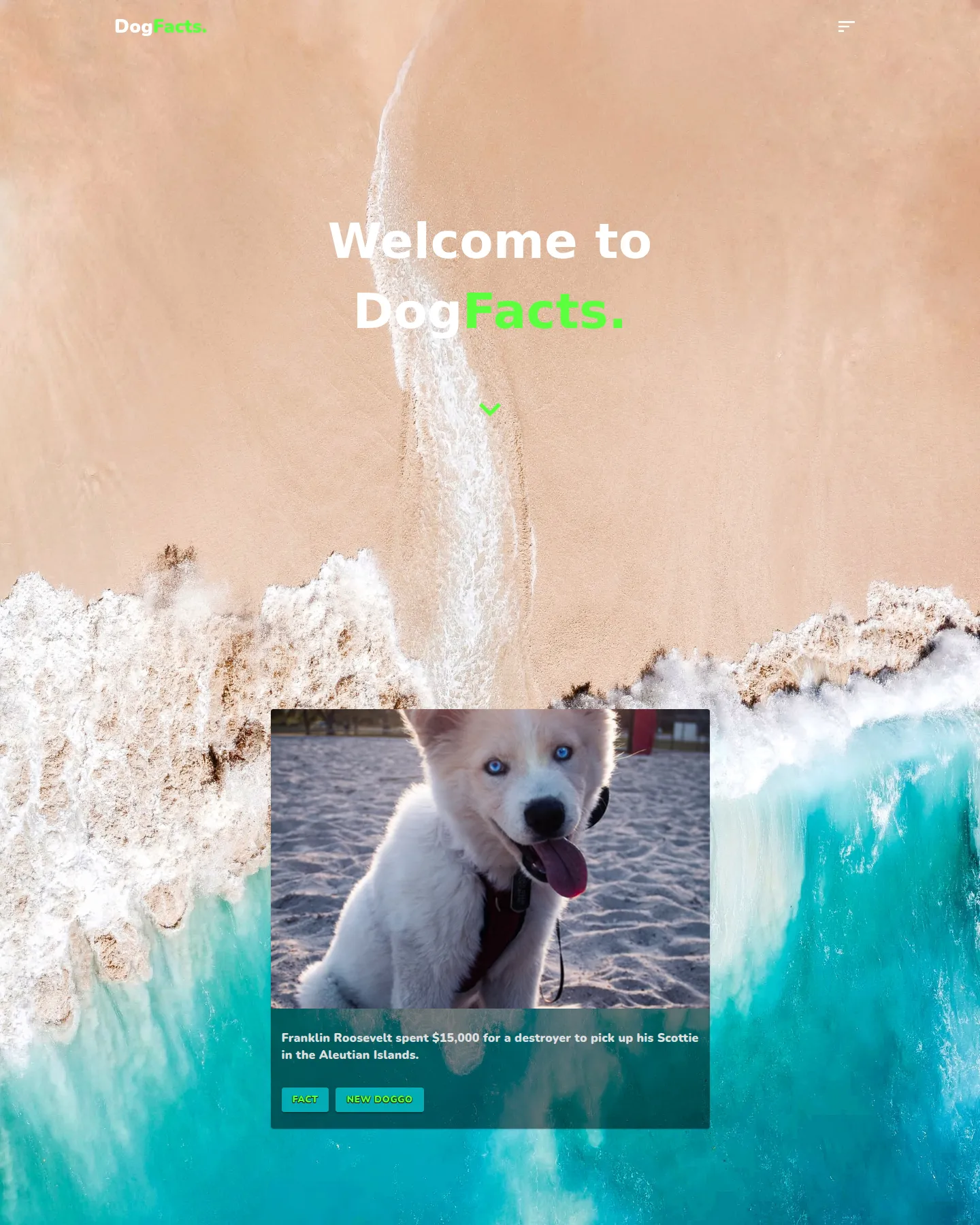 Dog Facts